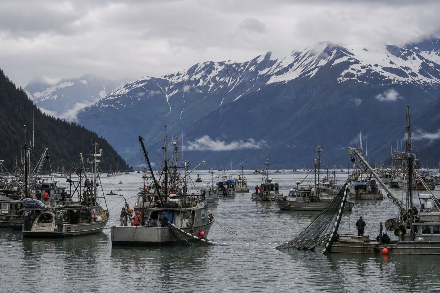 Cover image for article: PWS sockeye season ends with low returns as fleet pivots to coho