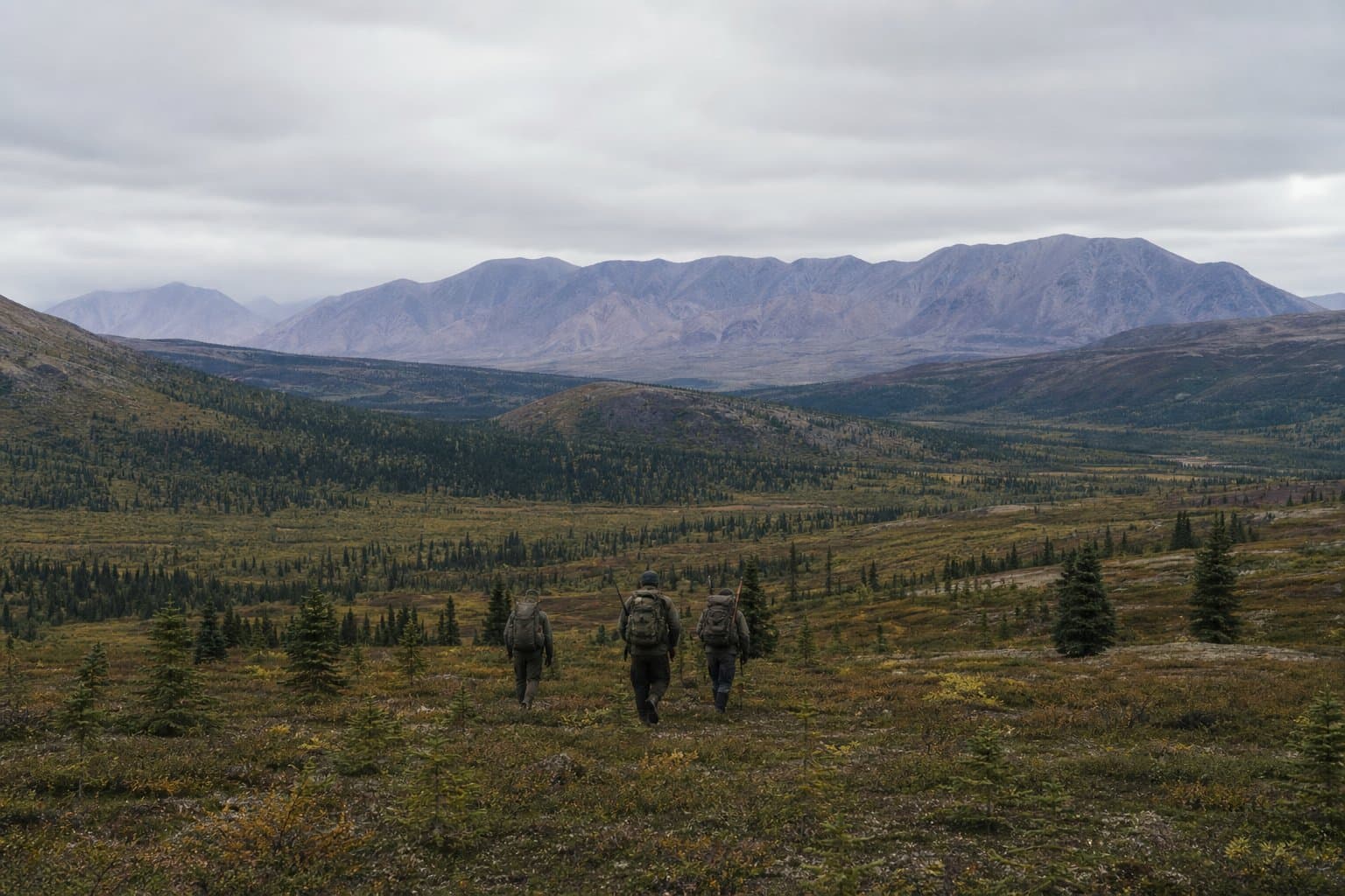 Cover image for article: Ahtna closes Cantwell-area lands to the public for moose season