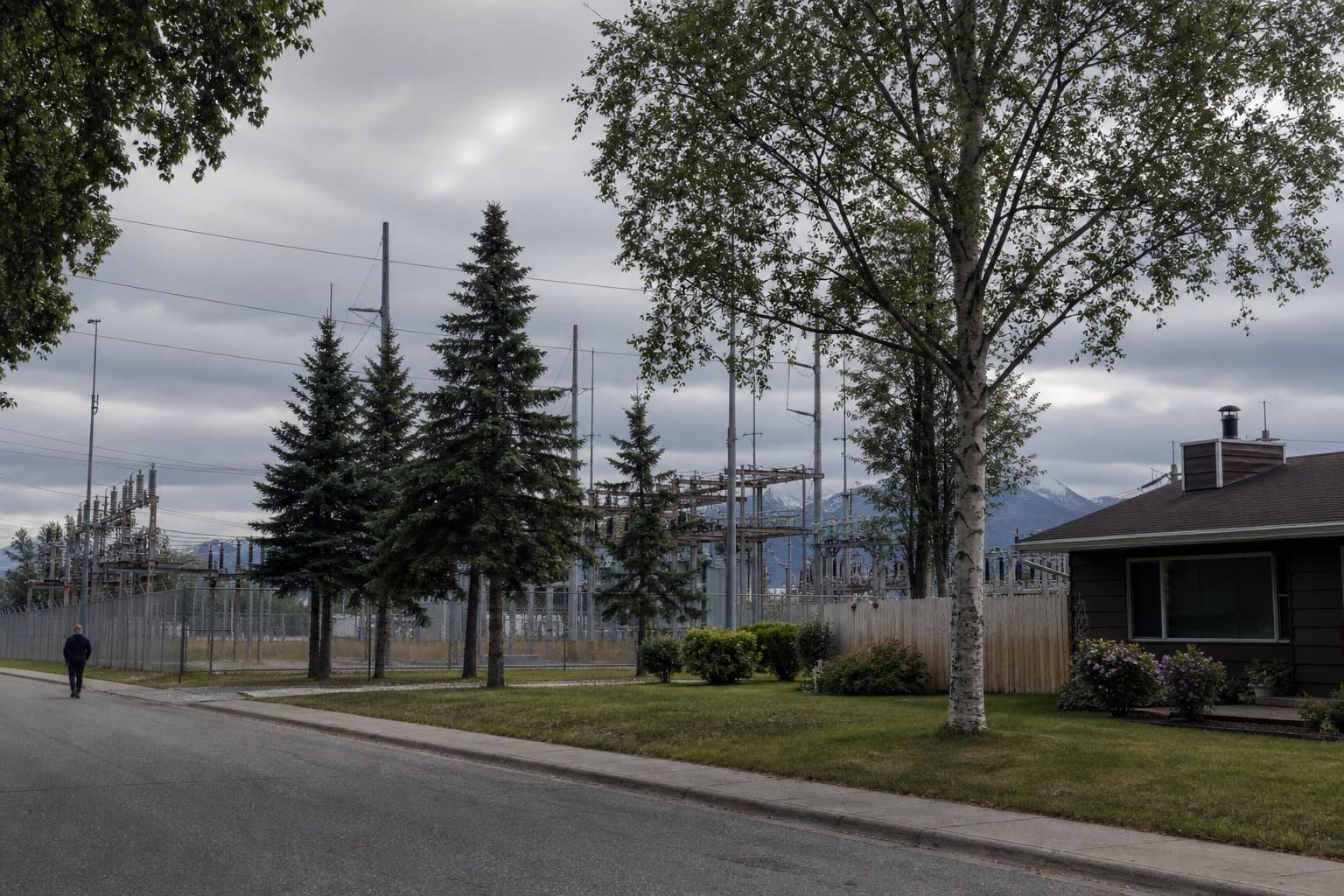 Cover image for article: Working Group member asks Anchorage commission to require tree buffer at Campbell Lake substation