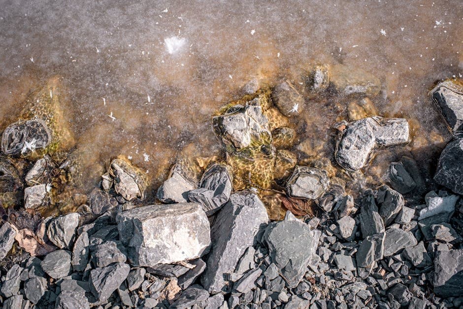 Cover image for article: Bristol Bay Ice Lingers Late, Blocking Access to Fishing Spots
