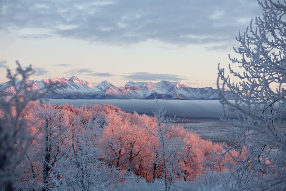 Cover image for article: Wind advisory takes effect 7 a.m. Tuesday for Anchorage, with gusts to 50 mph