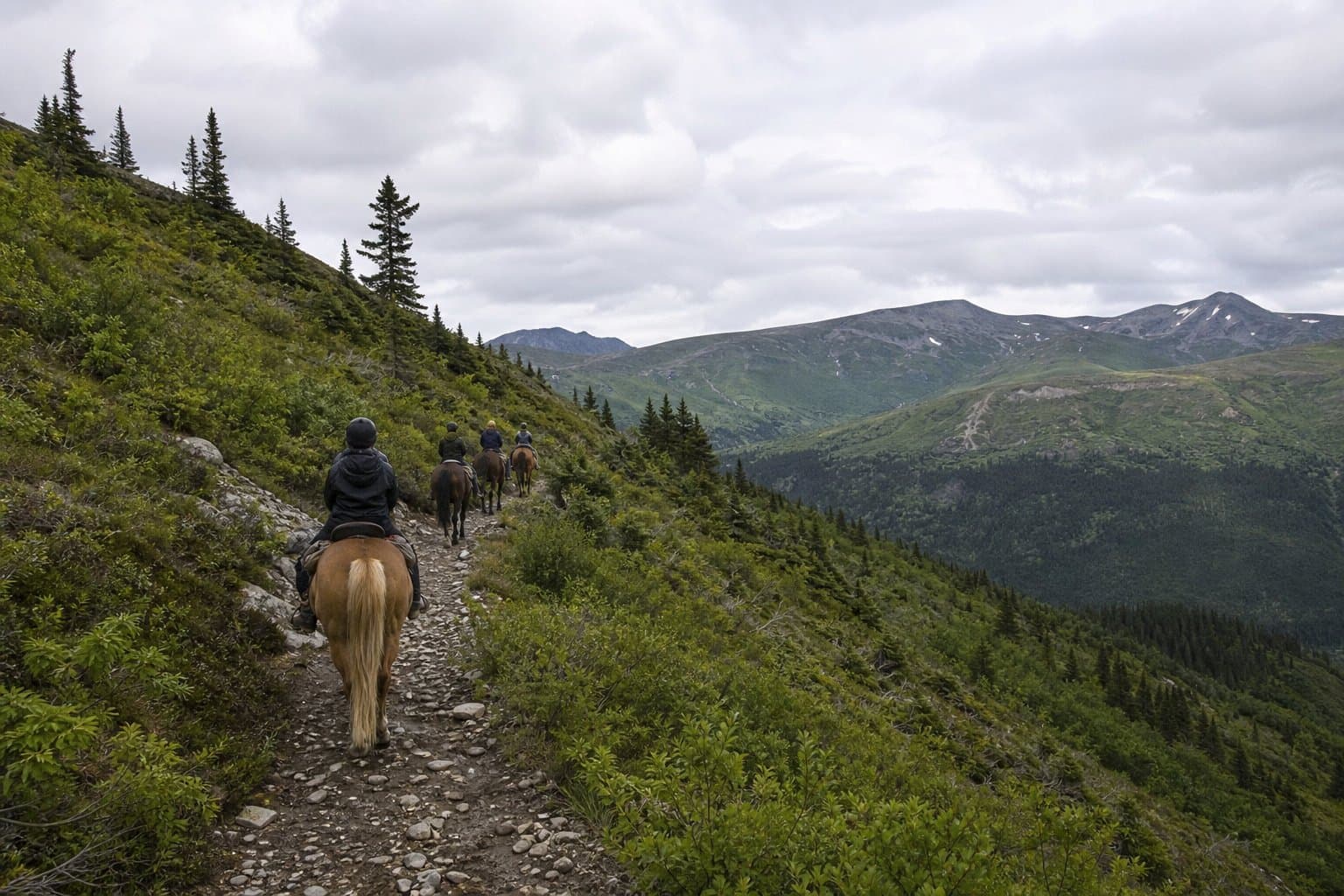 Cover image for article: Teen airlifted after horse kick on Johnson Pass Trail