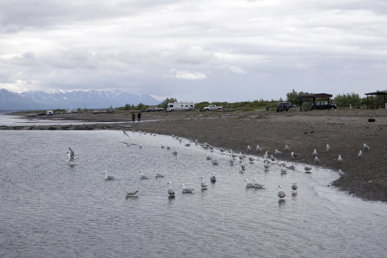 Cover image for article: Fairbanks man arrested for DUI and weapons charges at Kasilof Beach