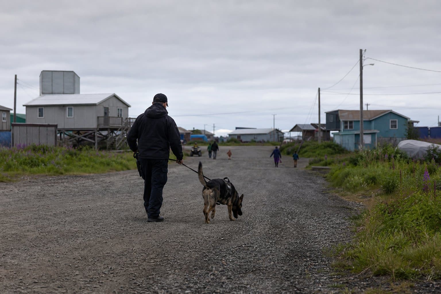Cover image for article: K9 Jack retires at 5 after four years on Interior village patrols