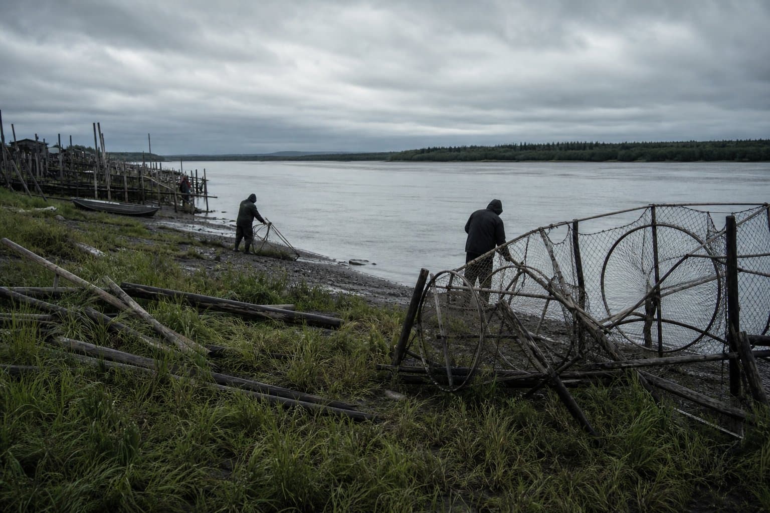 Cover image for article: Heatwave-driven mortality identified as key cause of Yukon Chinook crash