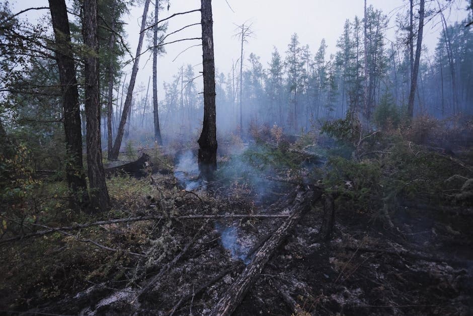 Cover image for article: Alaska fire agencies open 11 wildfire investigations in four days