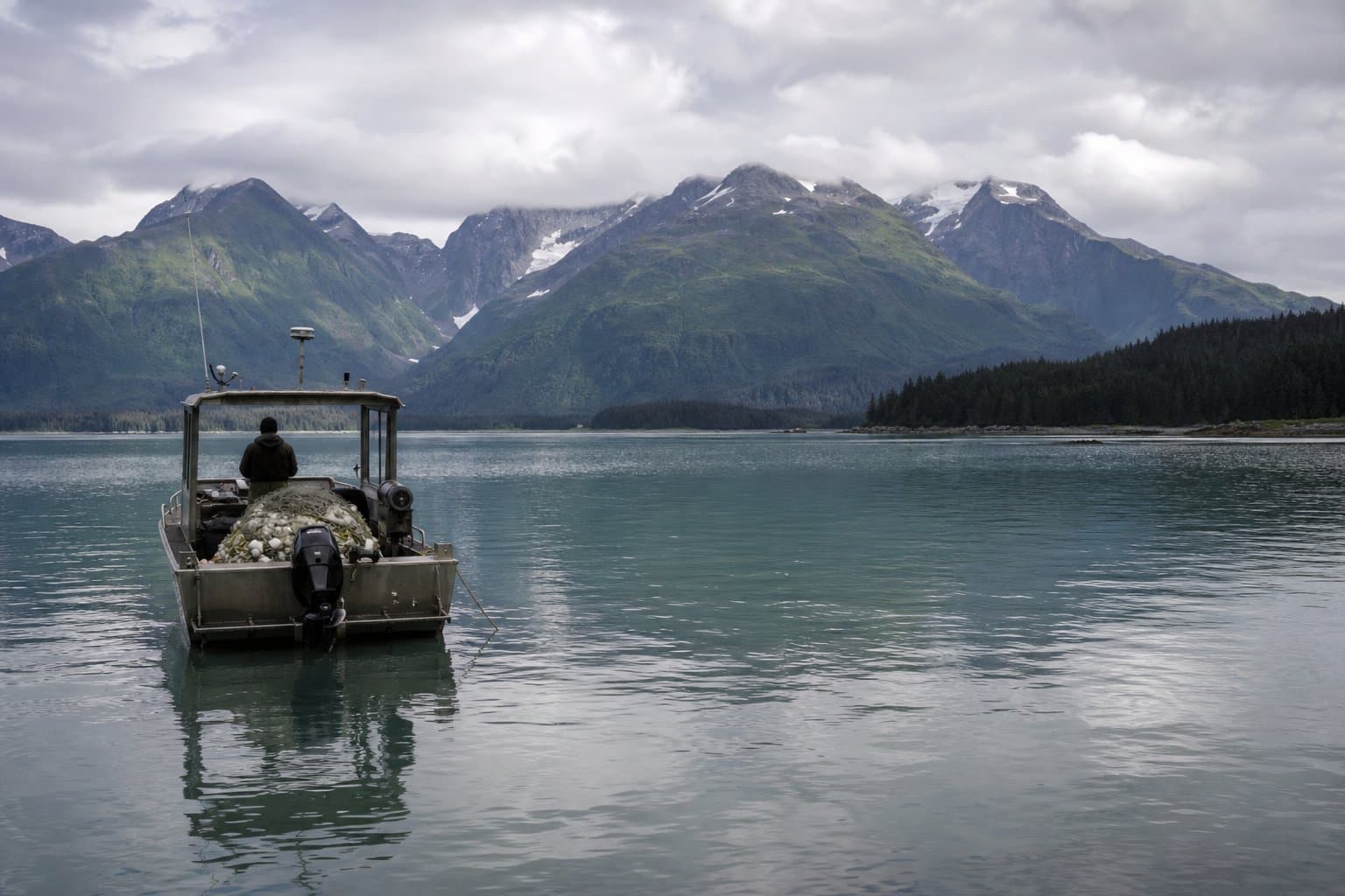 Cover image for article: Yakutat's king run is coming up short, and the closures keep stacking up