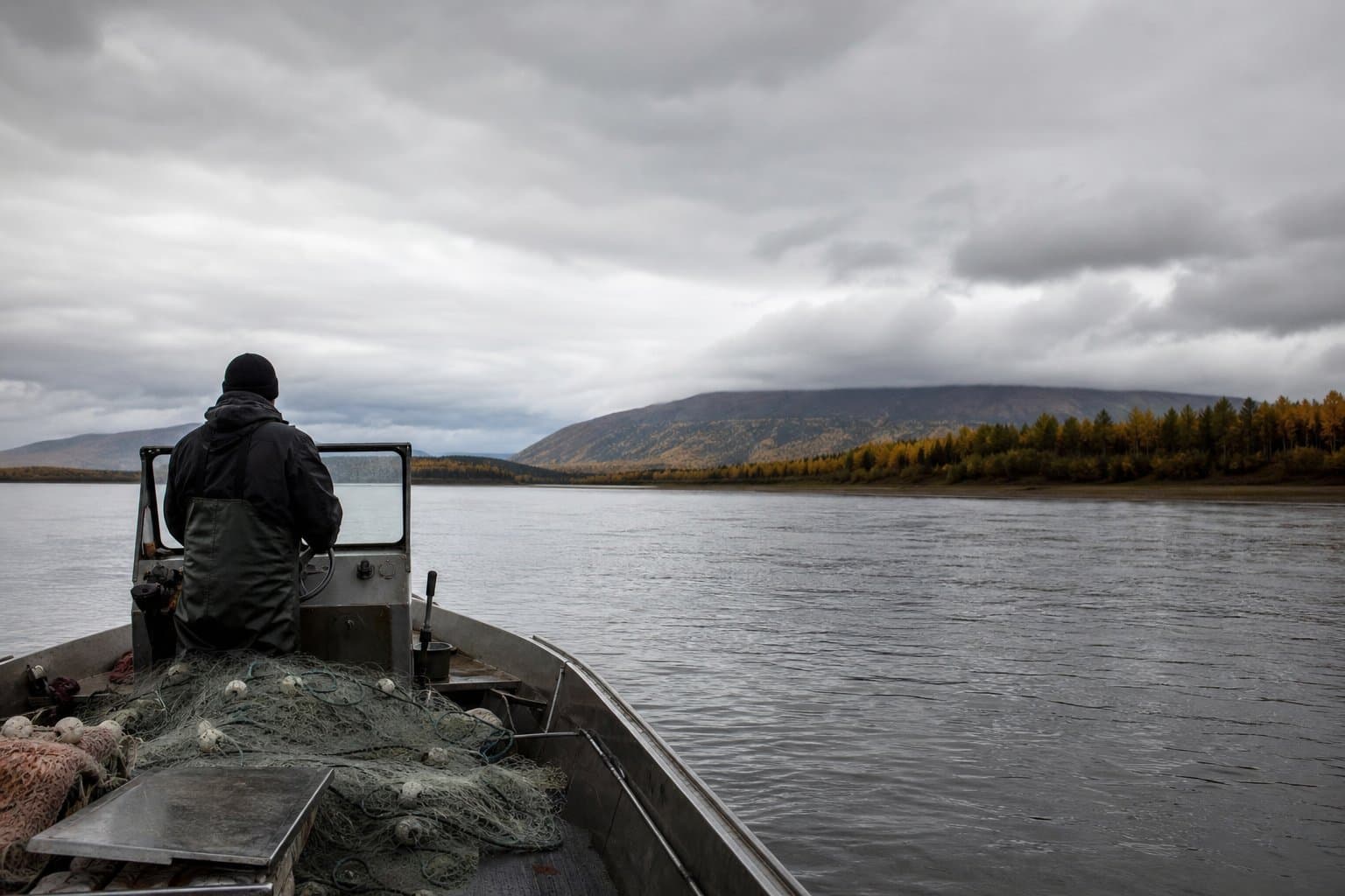 Cover image for article: The Yukon's fall chum run could support a fishery, none has opened