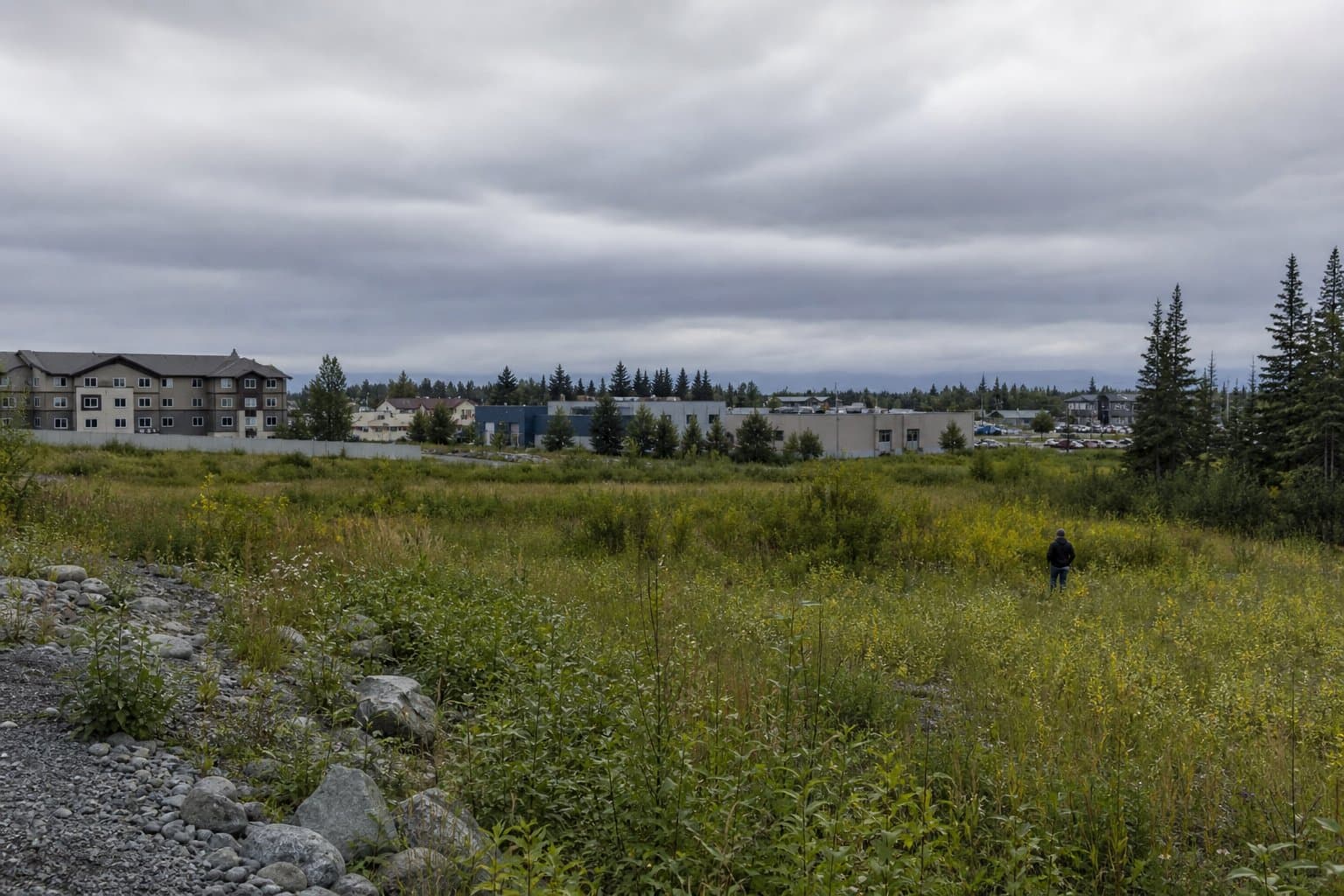 Cover image for article: Kenai moves to clear six pieces of public land for sale