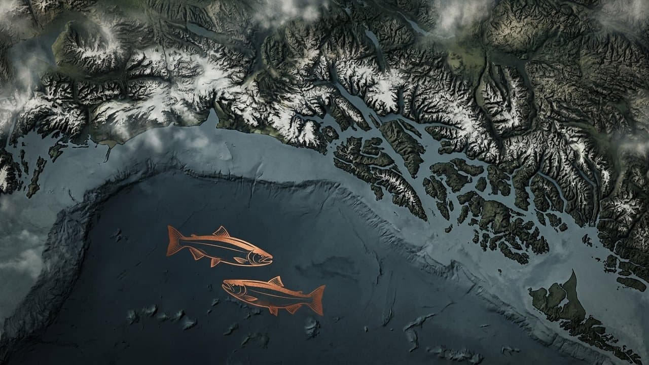 Cover image for article: Southeast anglers get a bump in the king limit