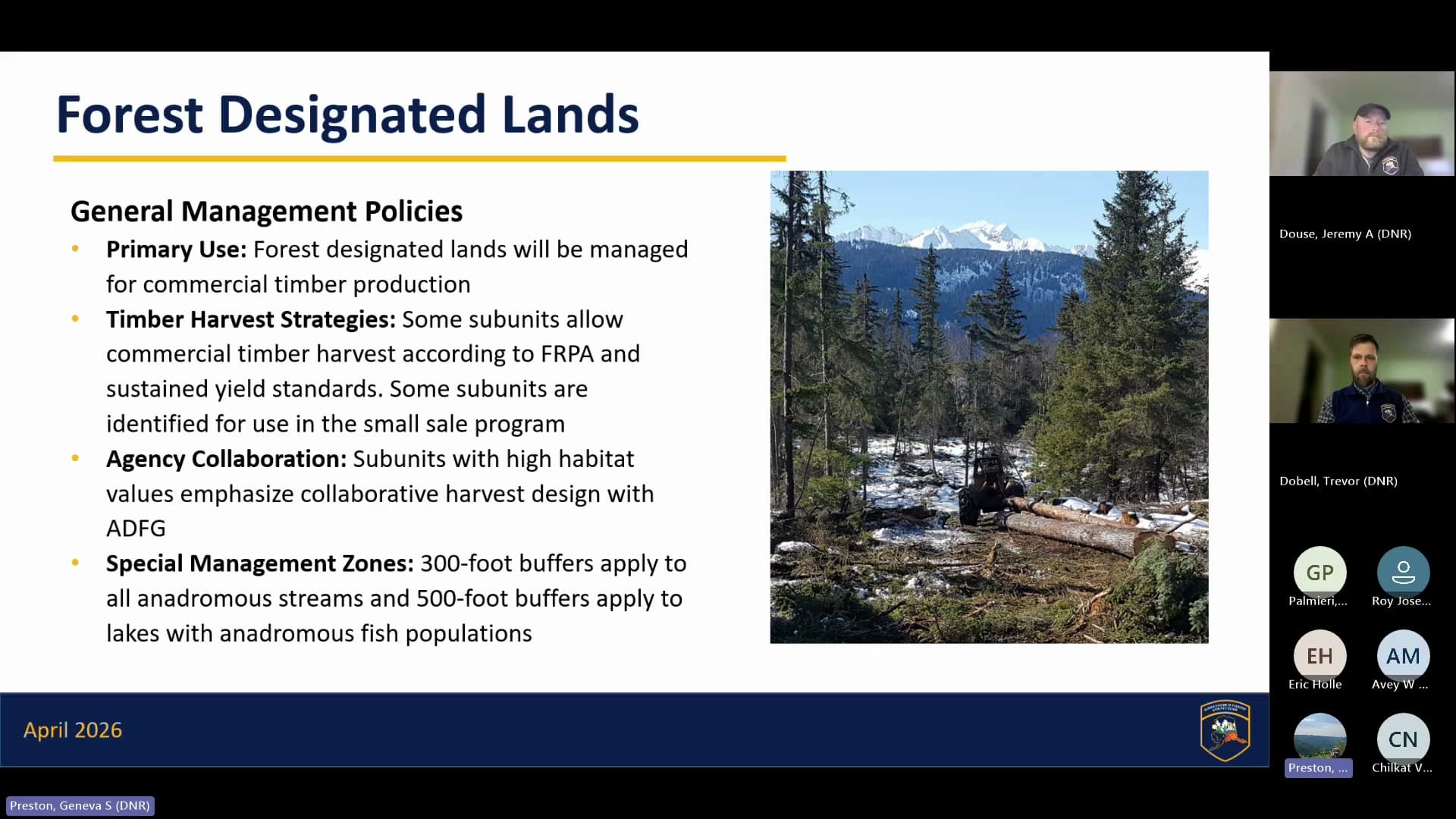 Cover image for article: Haines State Forest draft opens timber harvest in habitat areas