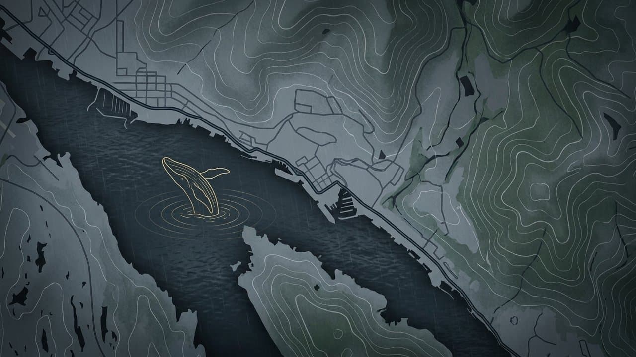 Cover image for article: Whale permit for Ketchikan bridge counts down to the single animal
