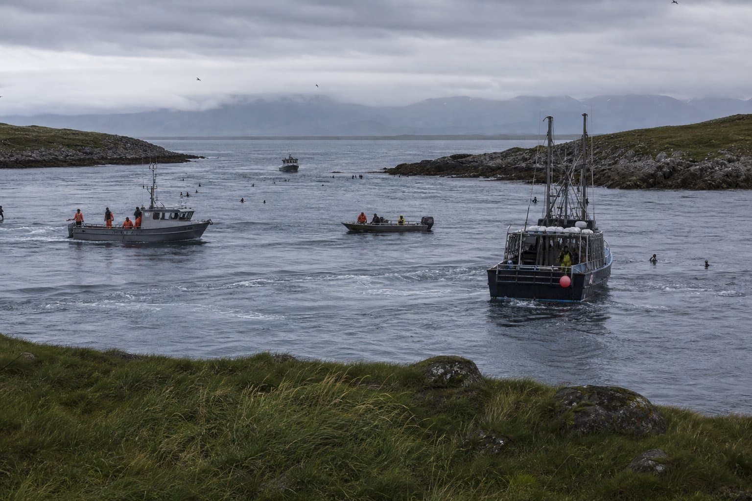 Cover image for article: Tidal energy permit application opens in Isanotski Strait near False Pass