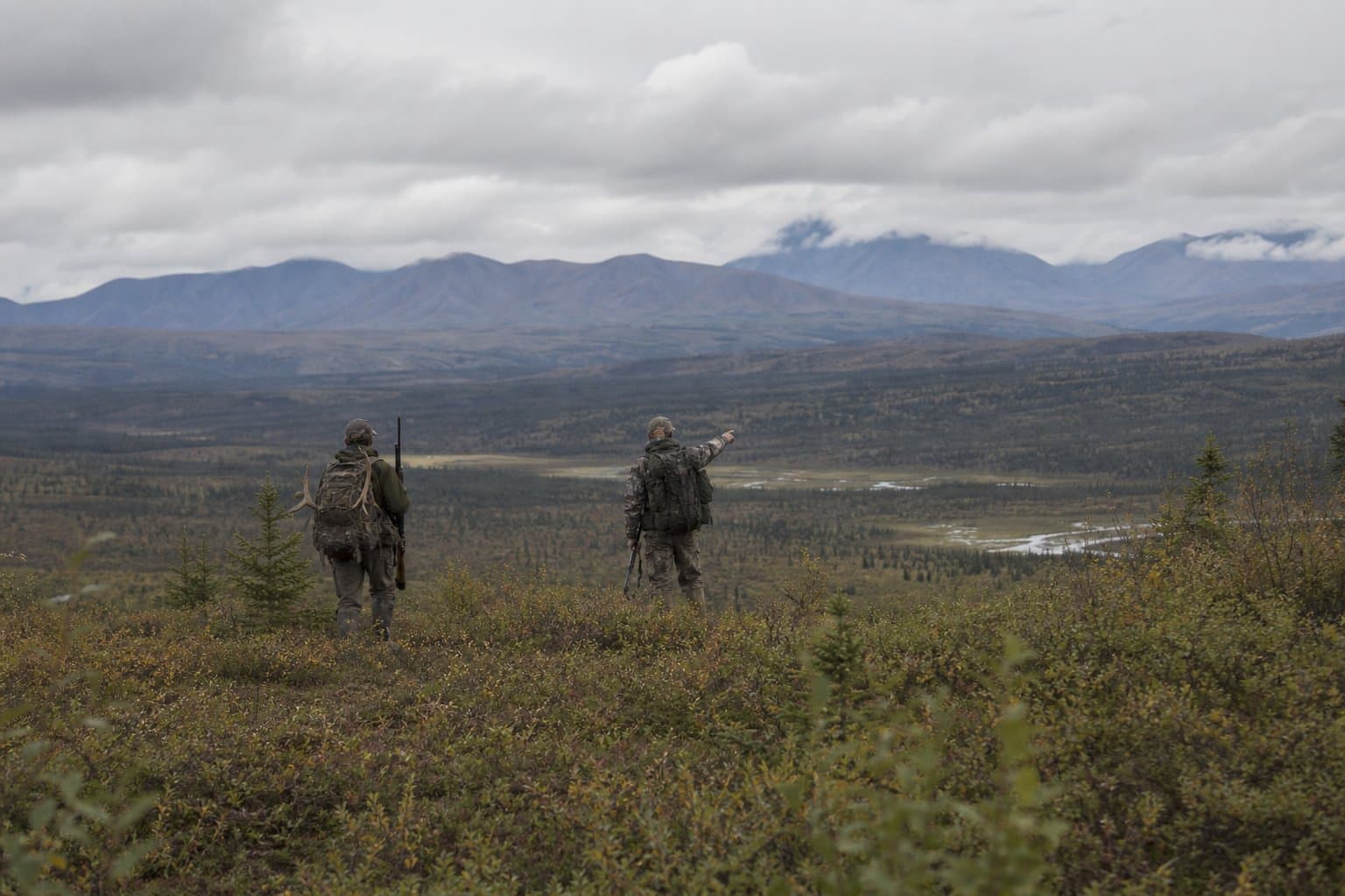 Cover image for article: Alaska big game guide survey up for revision; comment window opens
