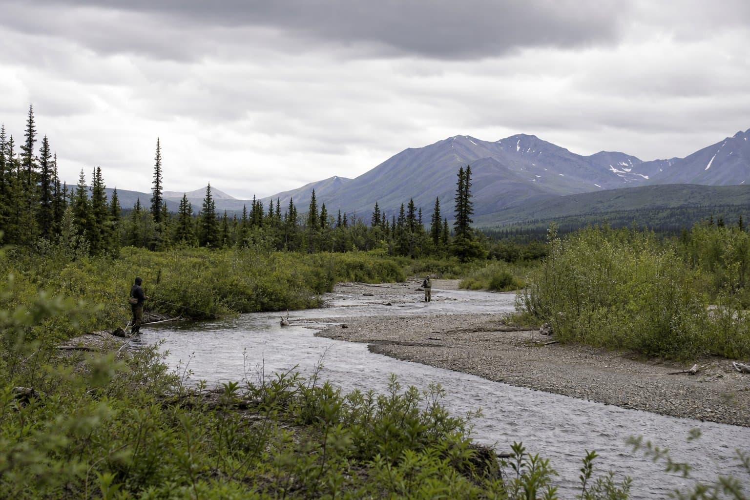 Cover image for article: A small gold permit, on a river fighting for its future
