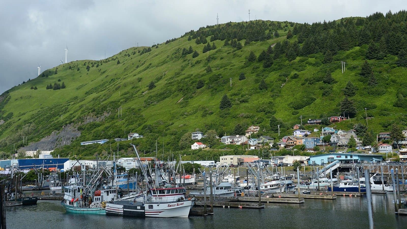 Cover image for article: Kodiak harbor board resumes talks on requiring insurance for boats in city harbors
