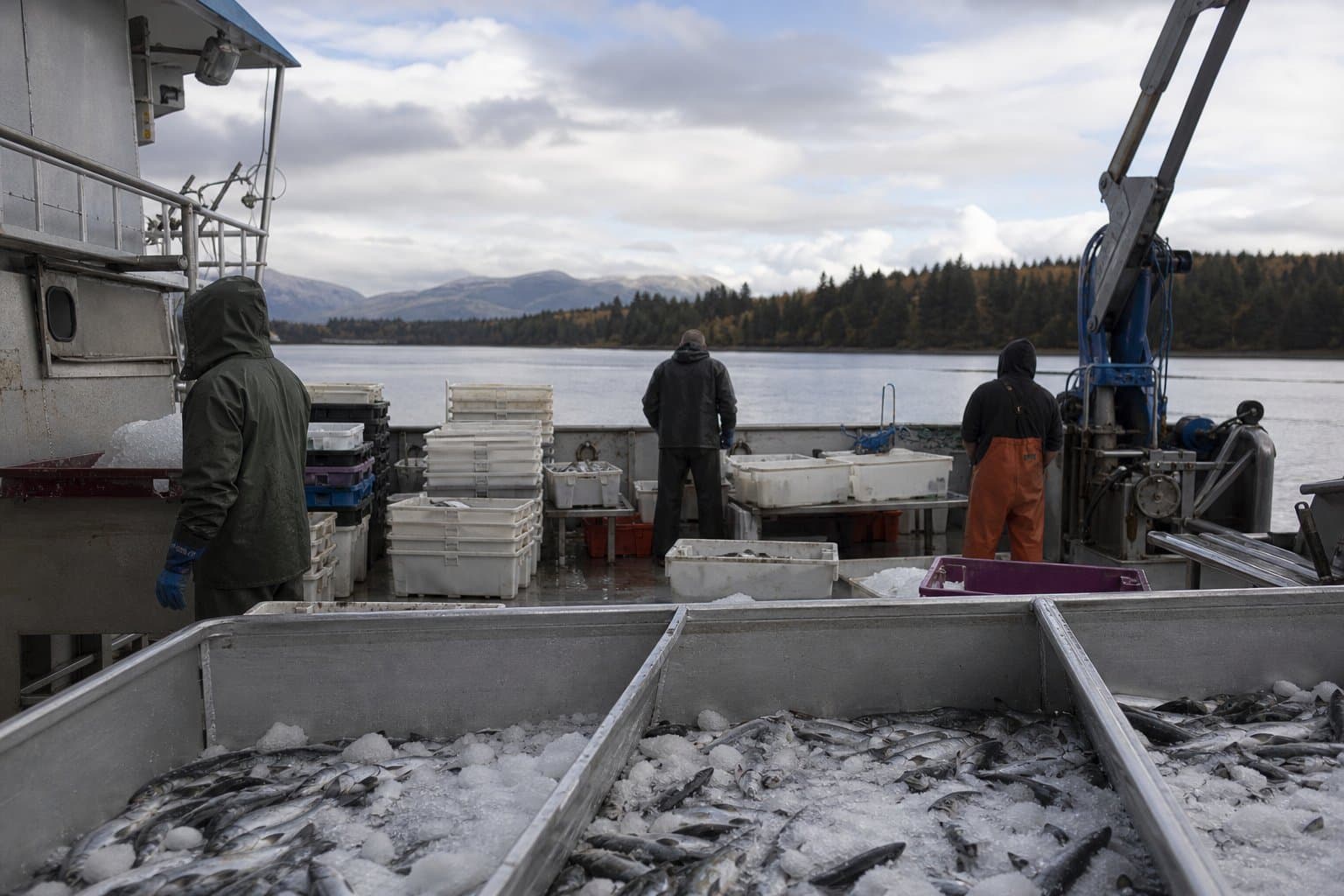 Cover image for article: Sealaska sells European seafood business to Japan's Sojitz, says sale will help expand shareholder programs