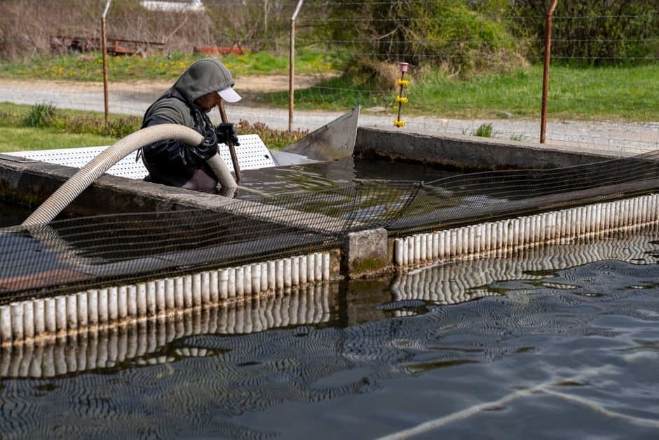 Cover image for article: Sitka Assembly awards Fisheries Enhancement Fund grants June 9