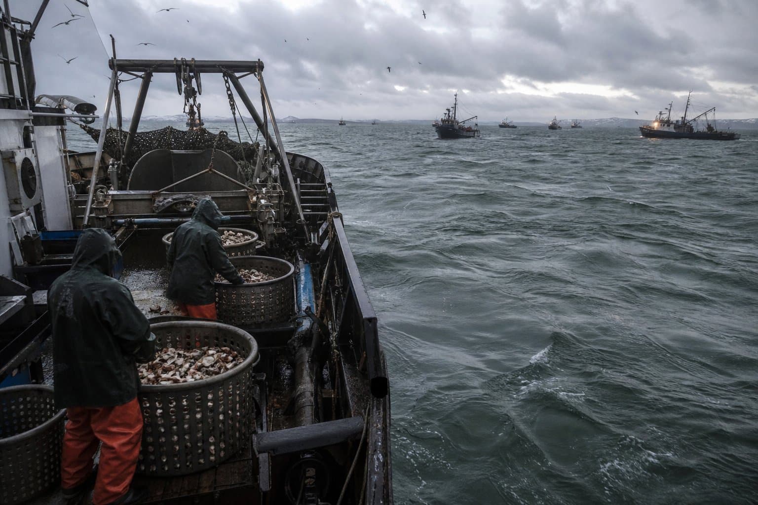 Cover image for article: ADF&G closes Bristol Bay-Bering Sea scallop fishery after harvest cap reached