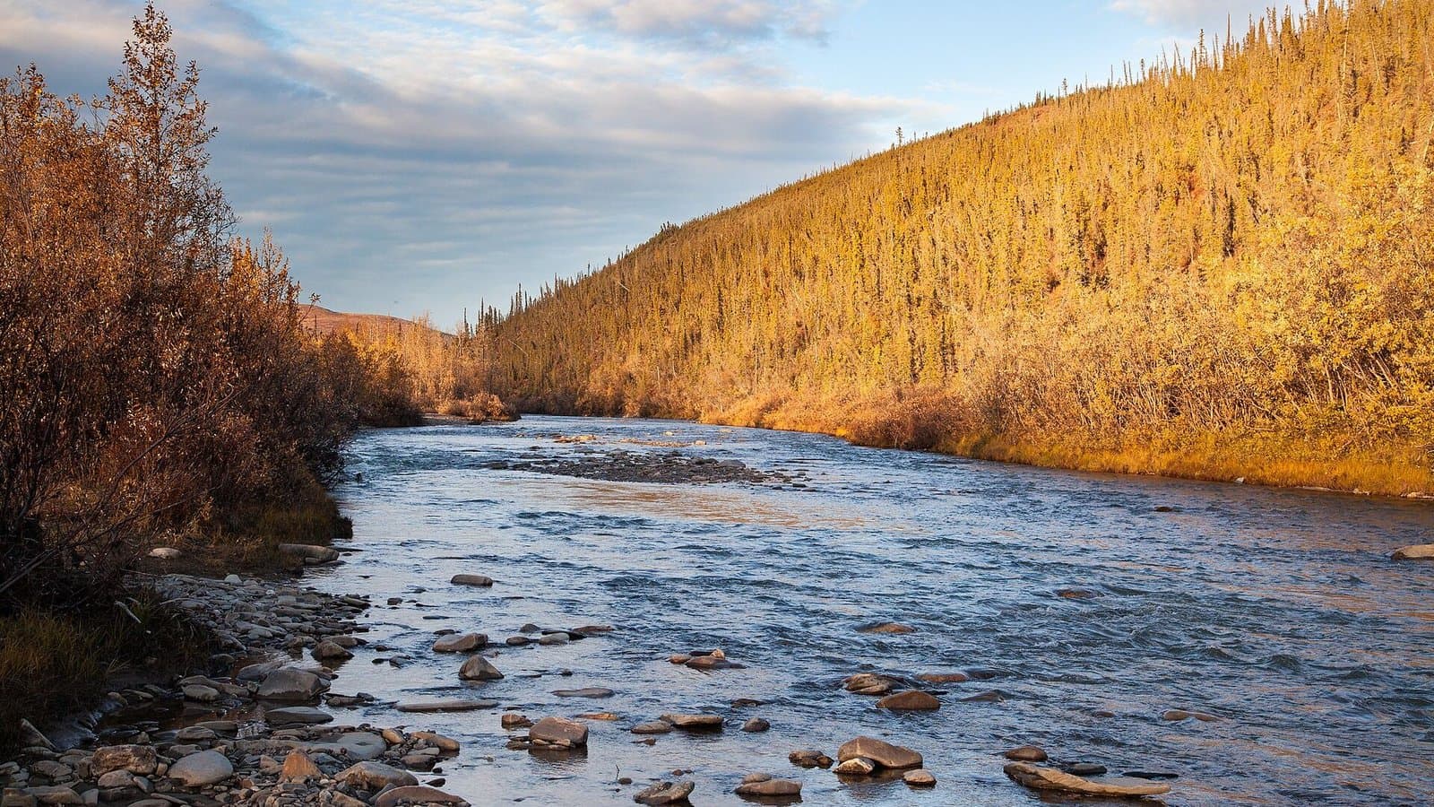 Cover image for article: BLM extends summer OHV rules in White Mountains and Steese to Nov. 1 for lack of snow