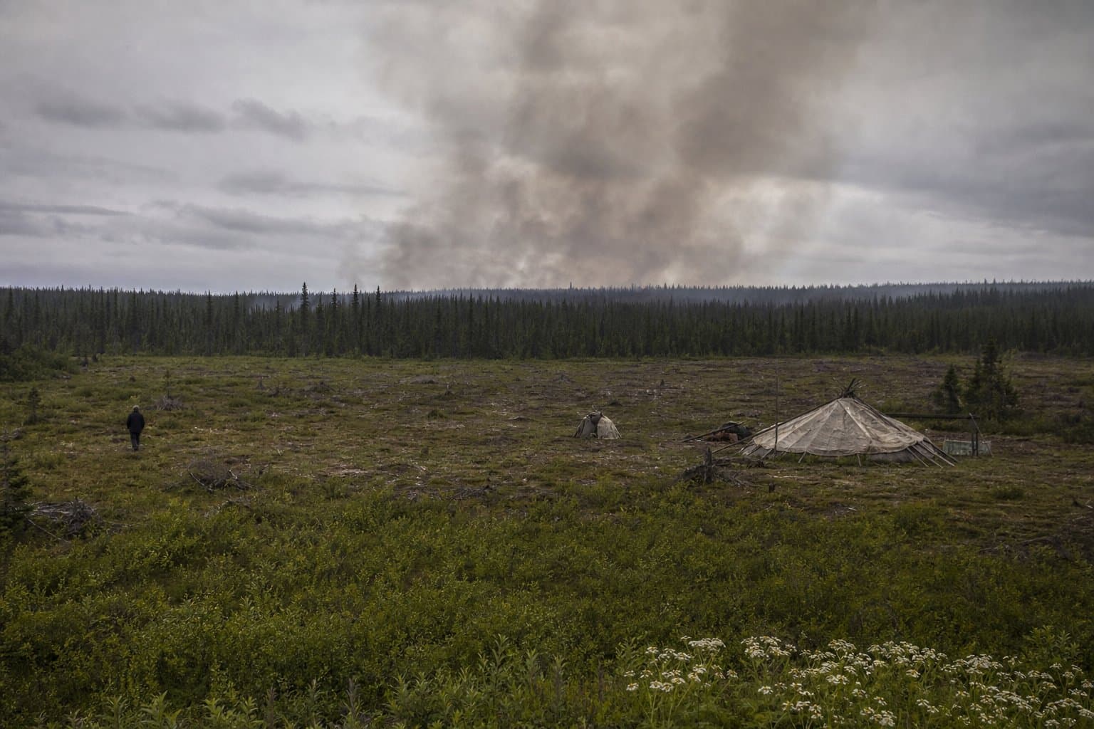 Cover image for article: New fire burns 1.5 miles from Native allotment near Kaltag