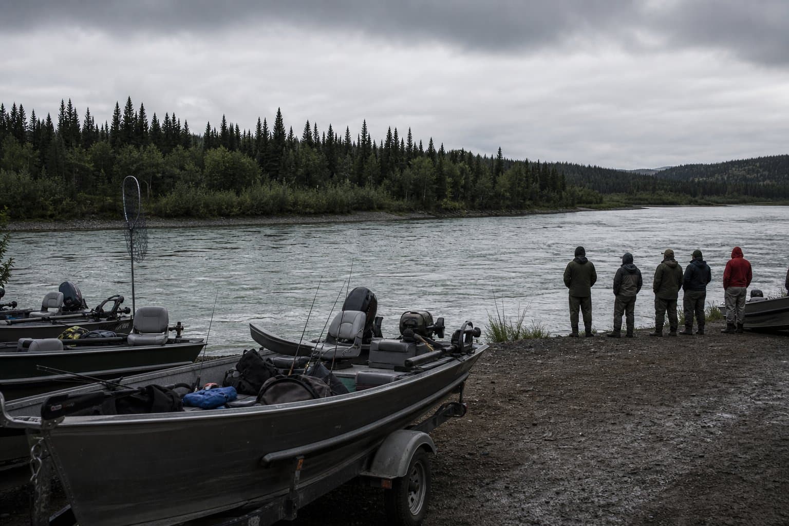 Cover image for article: Yukon king salmon run beats forecast, but sport fishing stays closed all season