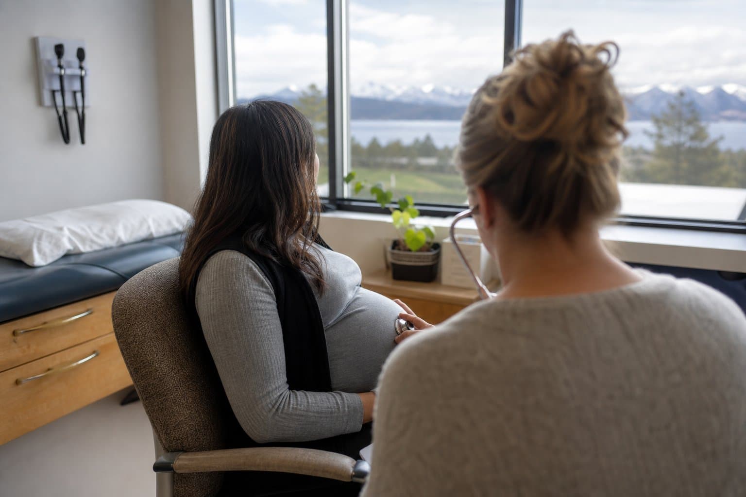 Cover image for article: Alaska proposes licensing fee changes for midwives, acupuncturists, concert promoters