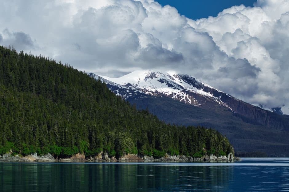 Cover image for article: State note says AMCO wrongly made Metlakatla gather a liquor petition