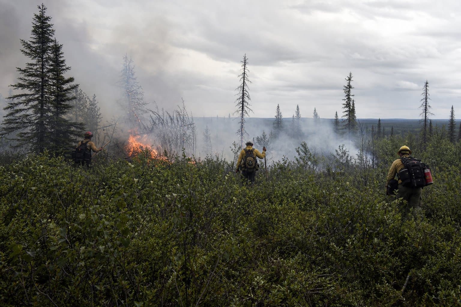 Cover image for article: Lightning holdover fires threaten northern Interior as DFFP warns of hidden ignitions
