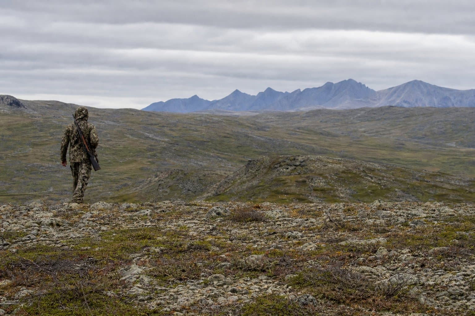Cover image for article: Alaska sets ptarmigan limit at 20 a day, five after March 1