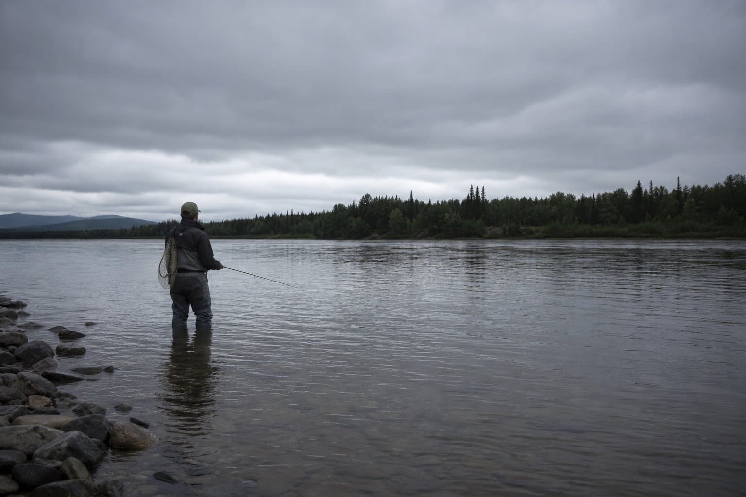 Cover image for article: Tanana stays closed to king salmon sport fishing in Aug. 12 report