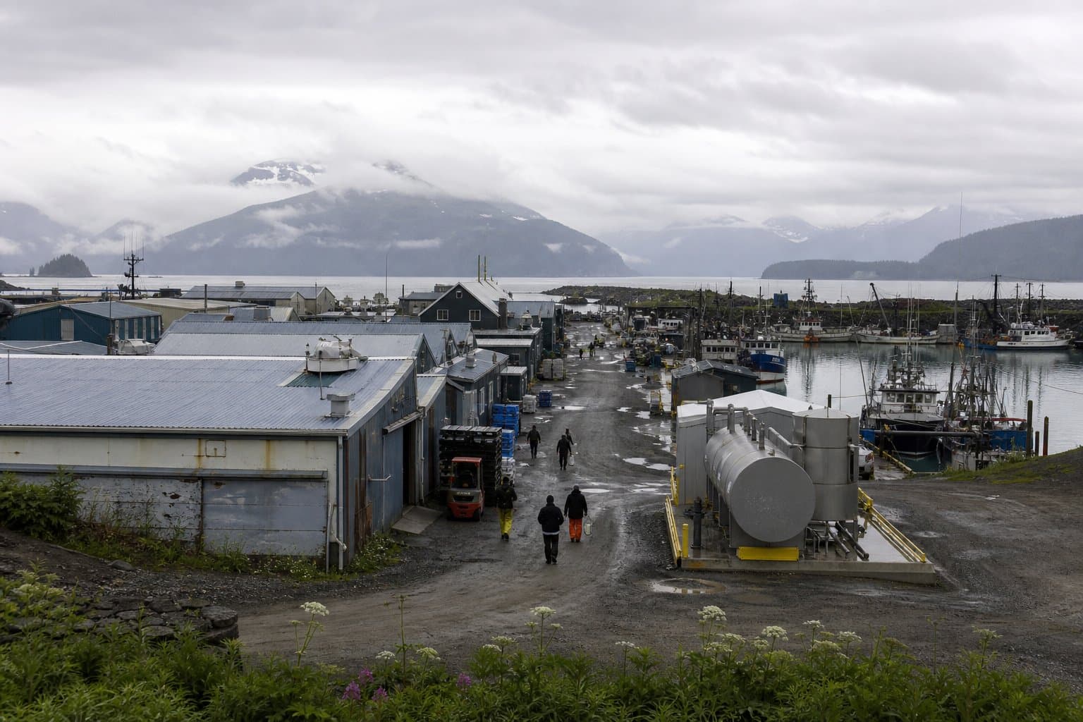 Cover image for article: Homer council to vote Monday on transferring Spit seafood lease to Silver Bay