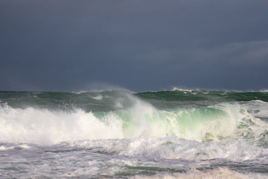 Cover image for article: Gale-force winds, 15-foot seas forecast for Yakutat waters this weekend