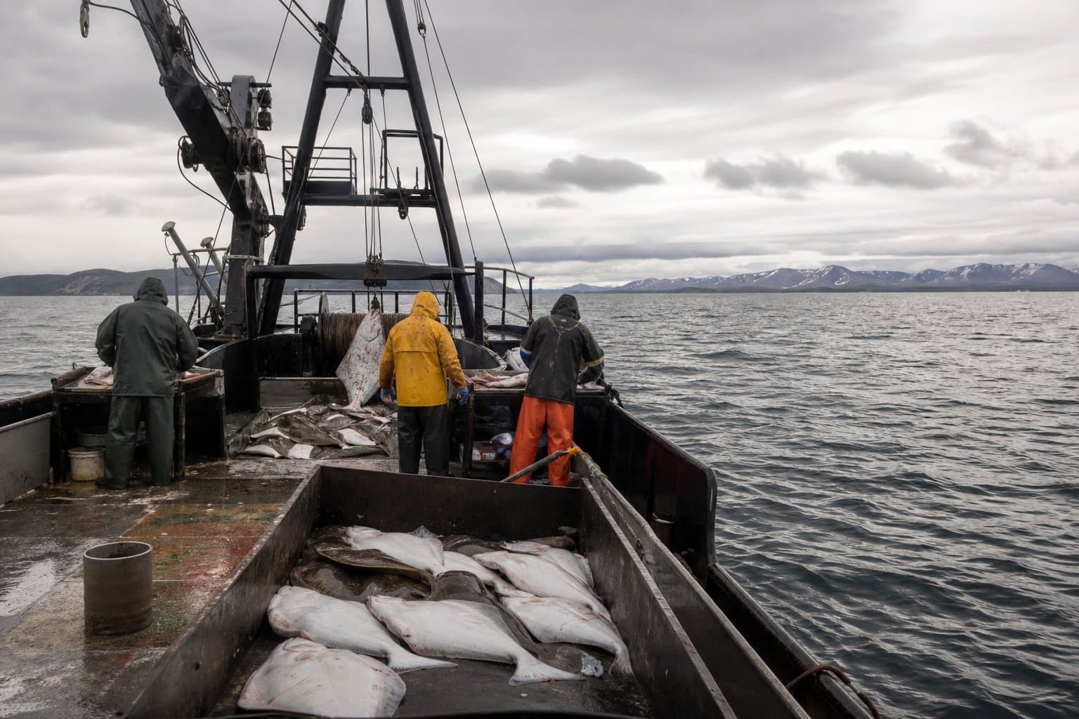 Cover image for article: Bering Sea halibut boats would get a catch cap double the rest of Alaska