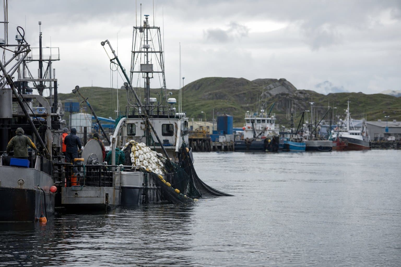 Cover image for article: Too many young fish shut Sand Point's seiners out of the Shumagins