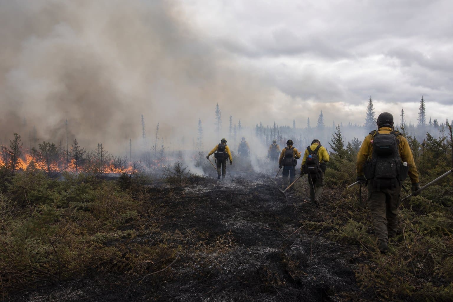 Cover image for article: Jade Fire reaches 40% containment near Ambler; Whakatna Fire controlled