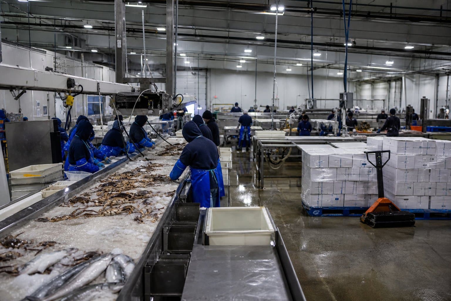 Cover image for article: New EU seafood paperwork lands Sept. 3, and it is not the only change