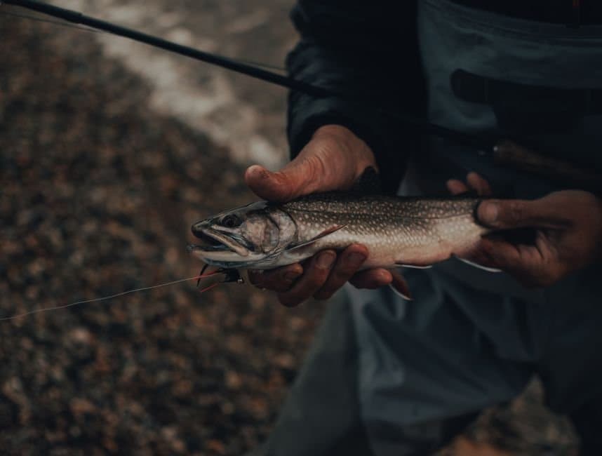 Cover image for article: ADF&G tells Anchorage anglers to kill and report any northern pike they catch