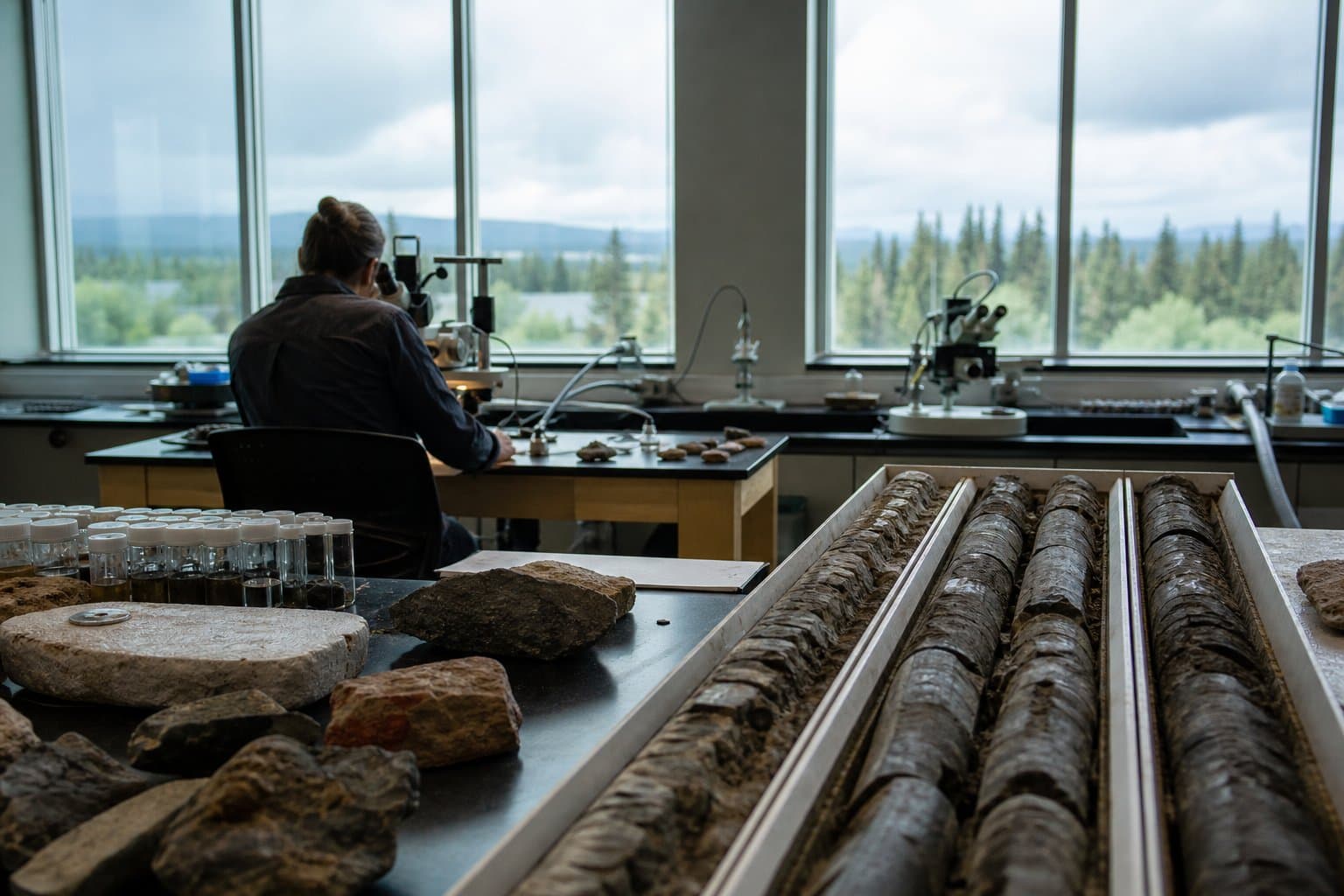 Cover image for article: To understand today's coastal flooding, a UAF scientist will study an ancient one