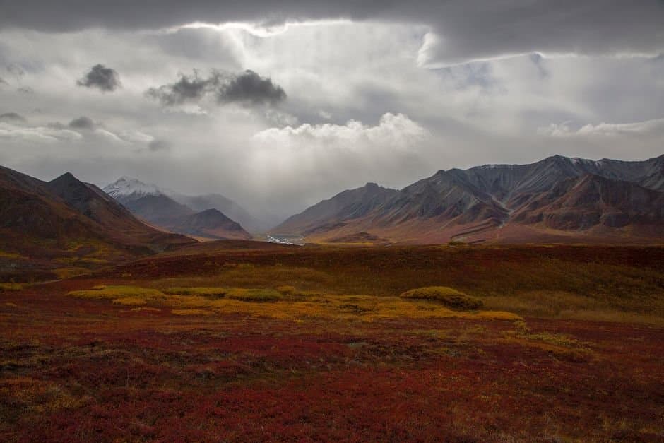 Cover image for article: BLM rule would let NPR-A operators waive subsistence conditions without public notice