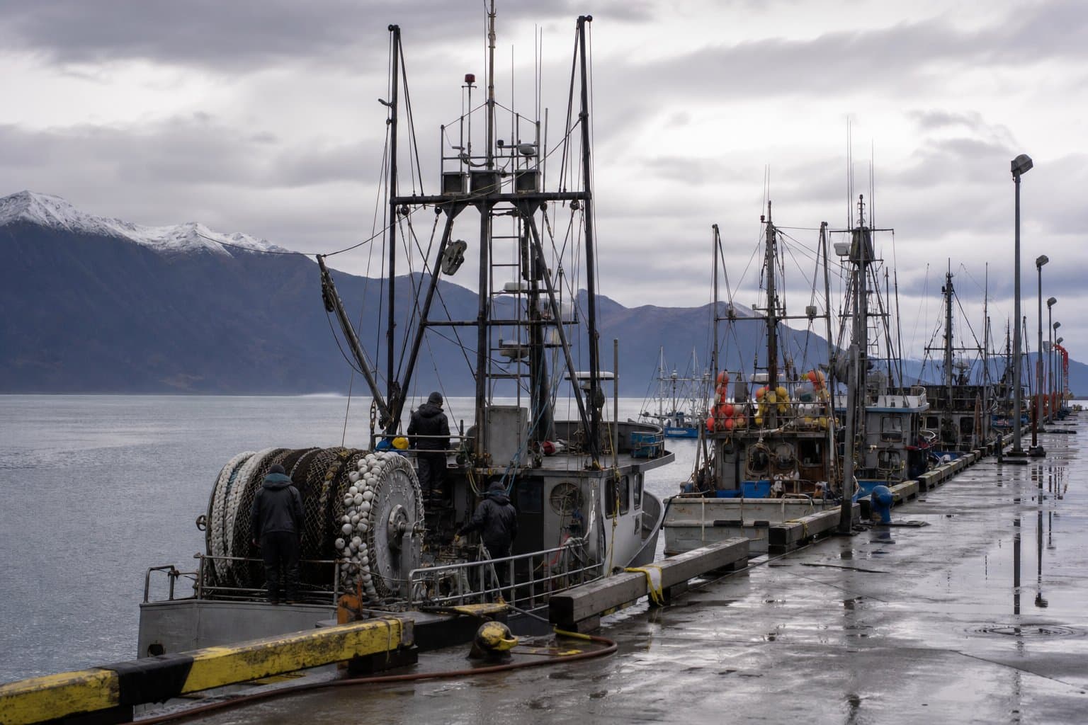 Cover image for article: Prince William Sound fall herring fishery opens Thursday with 749-ton cap