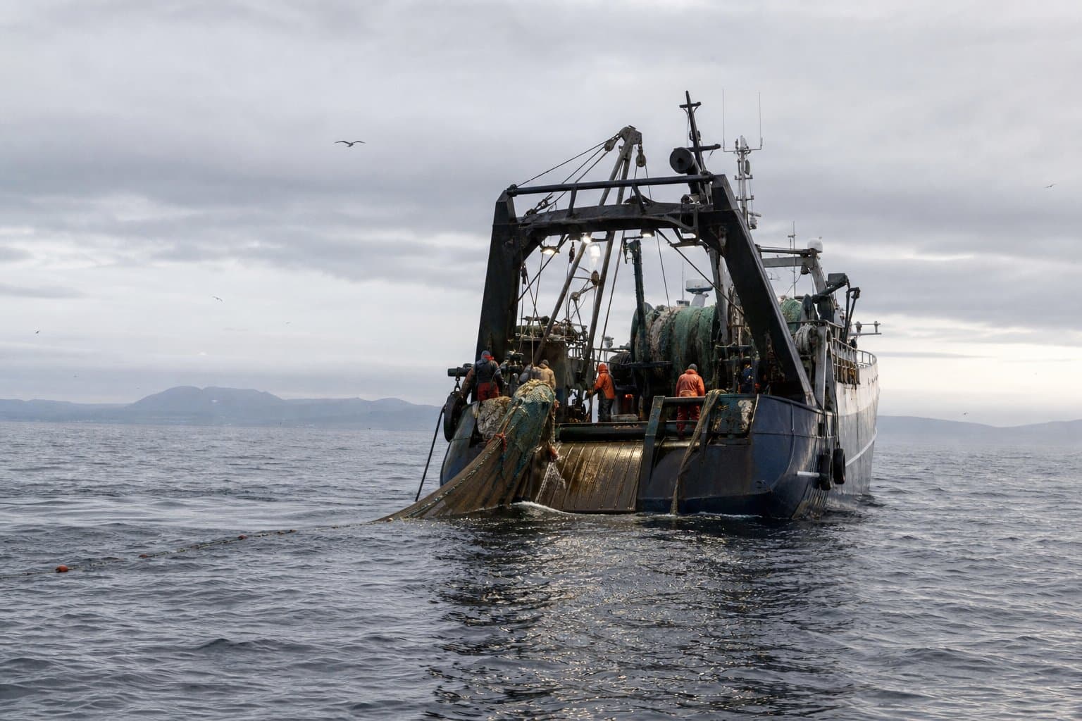 Cover image for article: BSAI Pacific cod trawl season ends early for AFA catcher/processors
