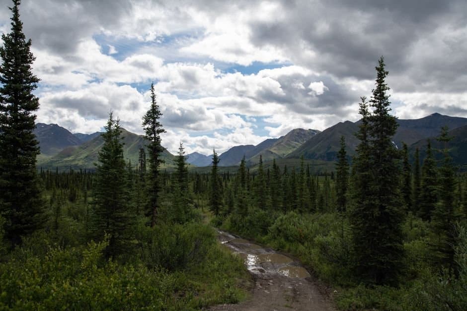 Cover image for article: BLM closes spur road and gravel pit at Moose Creek Landing through fall