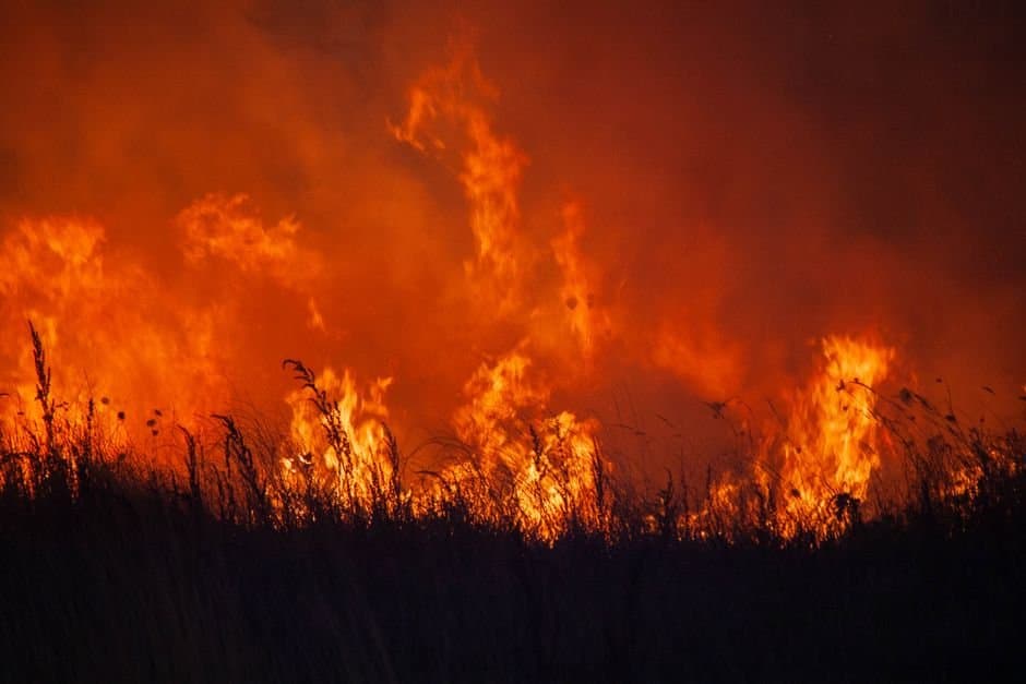 Cover image for article: Red Flag Warnings span Interior Alaska as fire season intensifies
