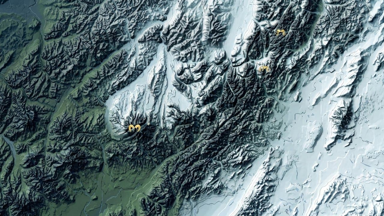 Cover image for article: Alaska requires sheep hunters to pass perfect-score quiz before 2026 season