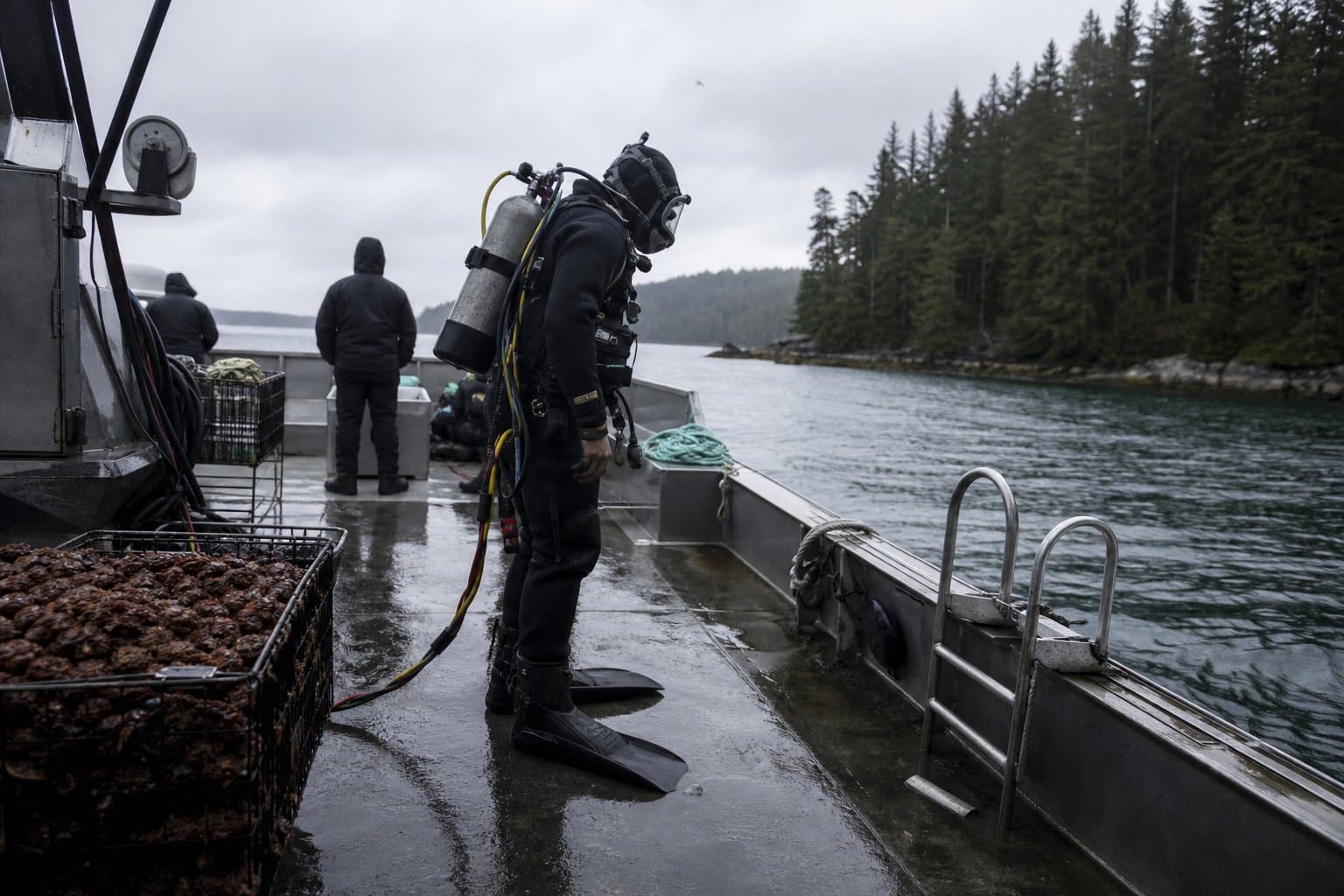 Cover image for article: Southeast's sea cucumber divers get a smaller catch this fall