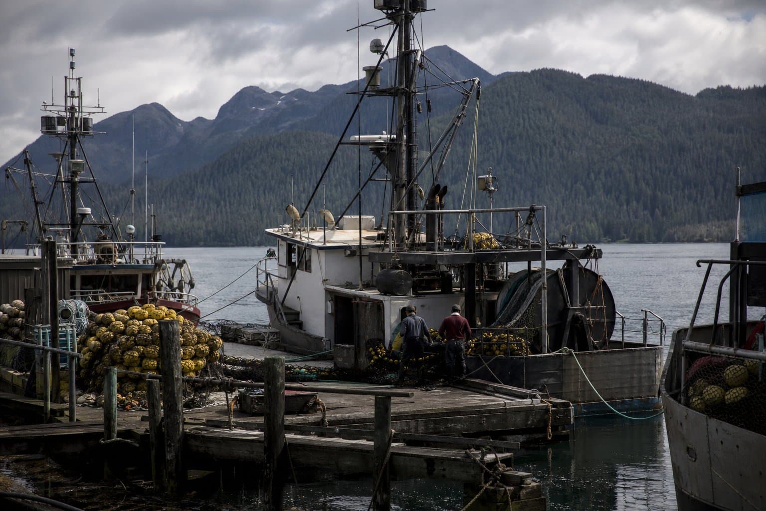 Cover image for article: Frederick Sound chum stays below average as pink salmon rebound