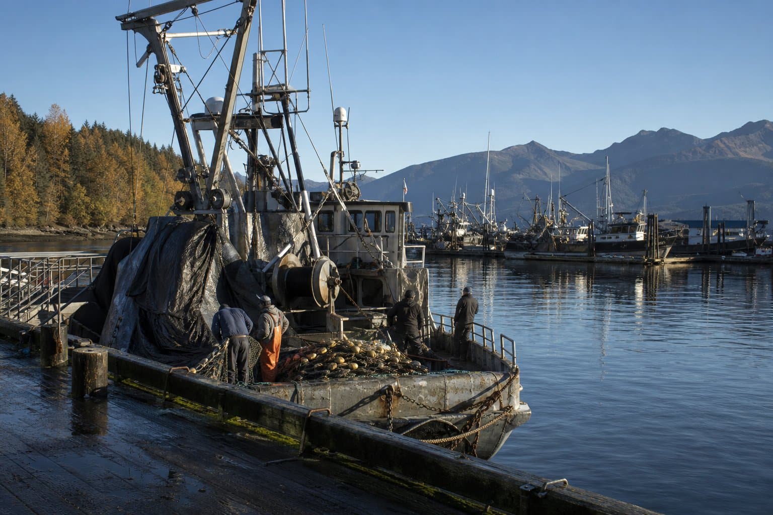 Cover image for article: Southeast Alaska gillnetters caught less salmon this year but expect higher pay
