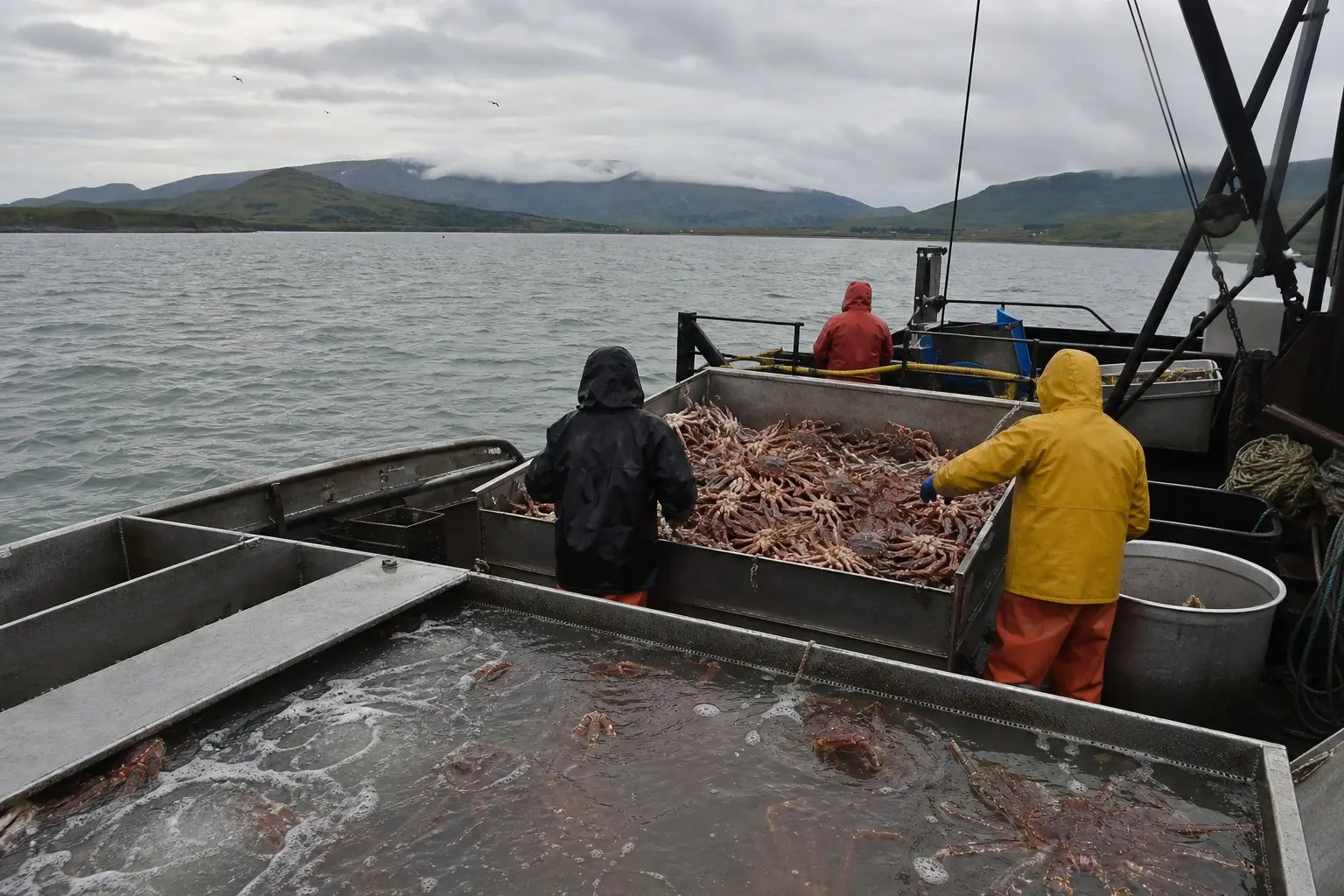 Cover image for article: State Analysis Calls Crab Hatchery's Fishery Benefit 'Likely Negligible'