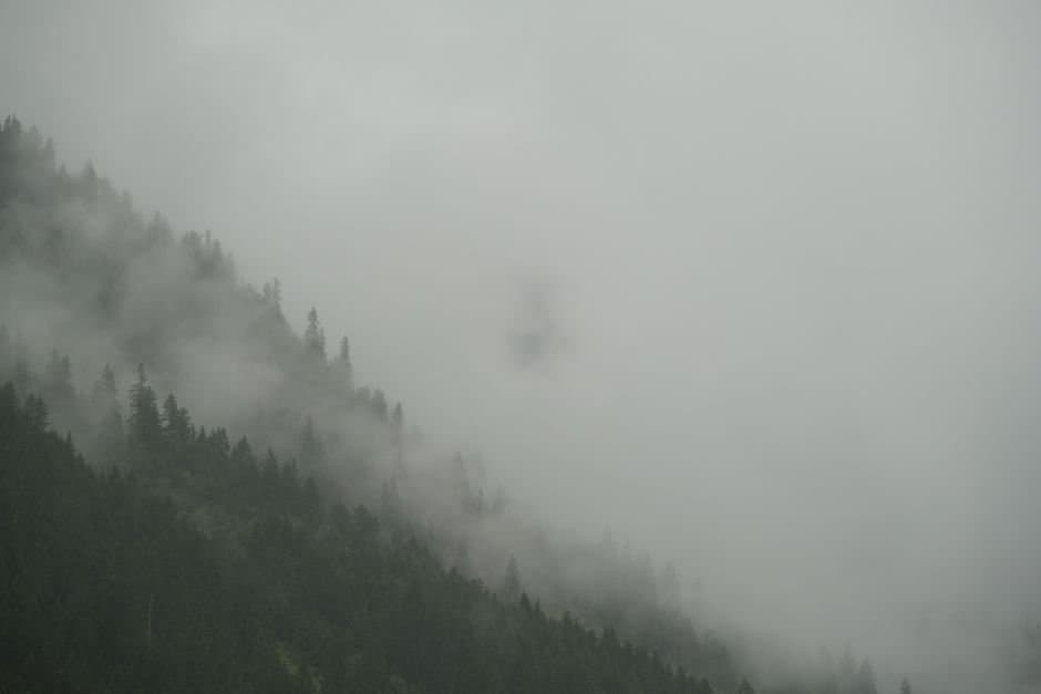 Cover image for article: Dense fog blankets Kenai Peninsula for third straight day